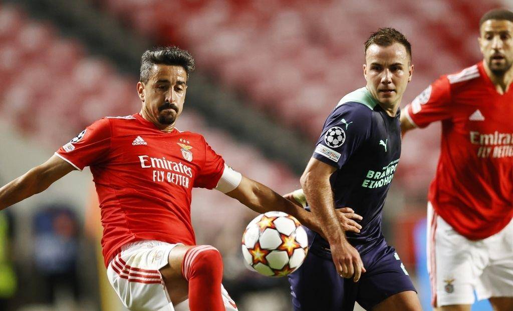 高频的划水 高频的划水